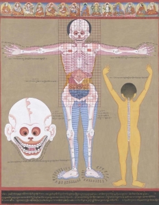 tibetan-medicine-anatomy2-110128-02